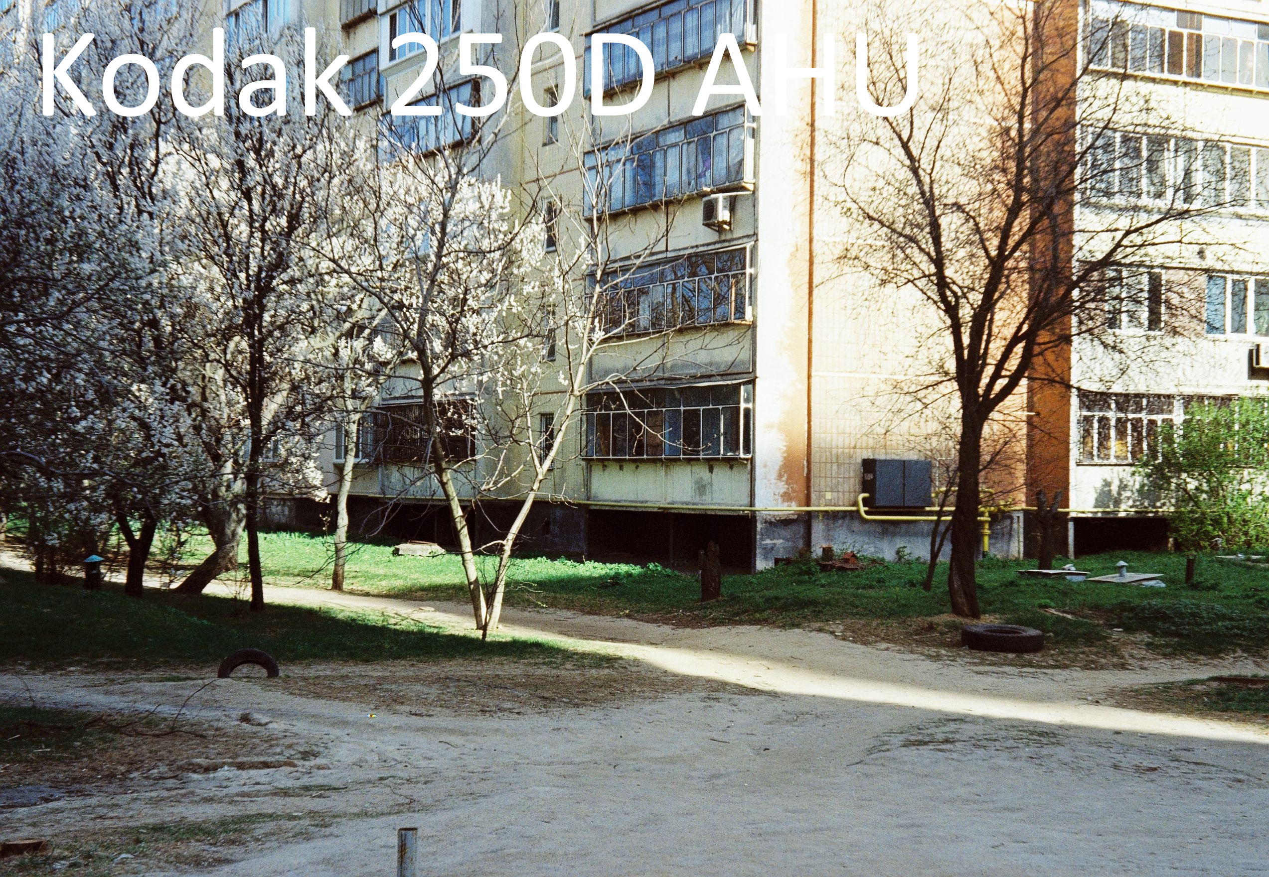 Kodak 250D Ahu photo1